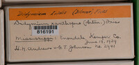 Image Associated With the Occurence